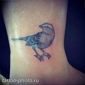 рисунка тату воробей 03.12.2018 №160 - photo tattoo sparrow - tattoo-photo.ru